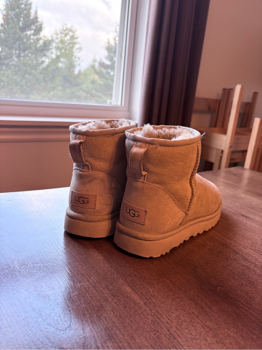 Mini Uggs! - Picture 3 of 4